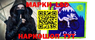 стафф Будённовск