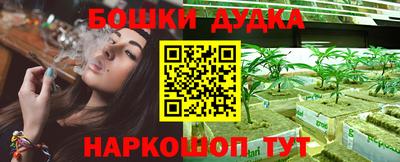 PSILOCYBIN Бугуруслан