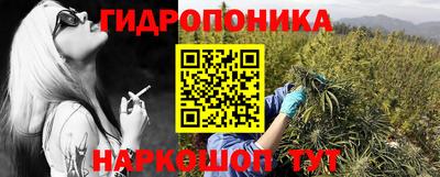 стафф Будённовск