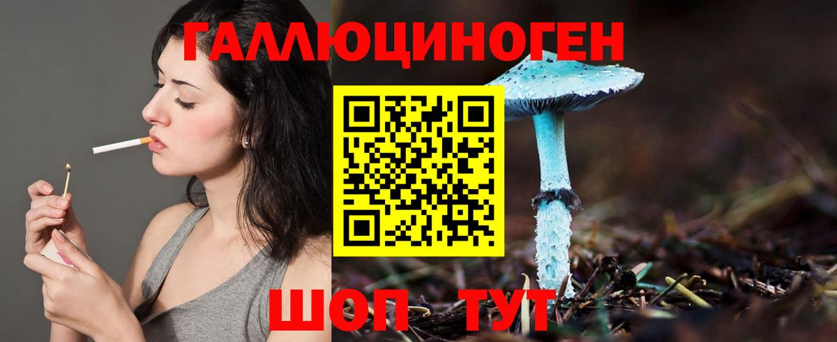 Петрозаводск  Галлюциногенные грибы GOLDEN TEACHER  Вход с VPN  Галлюциногенные грибы Cubensis 