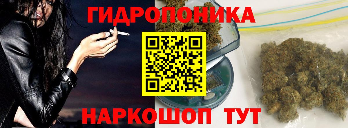 Бошки марихуана марихуана Петрозаводск